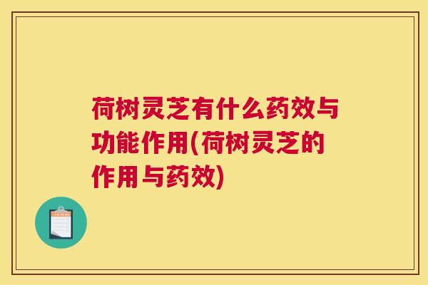 荷树灵芝有什么药效与功能作用(荷树灵芝的作用与药效)