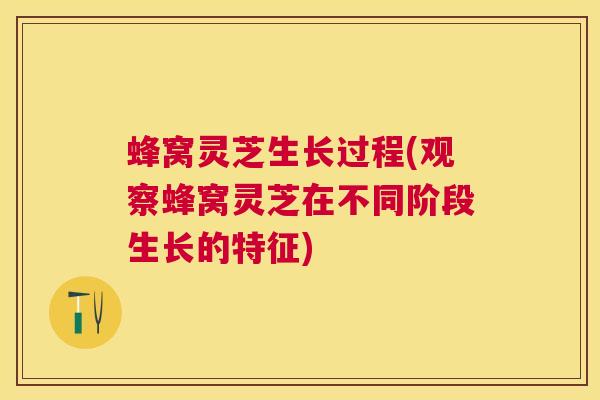 蜂窝灵芝生长过程(观察蜂窝灵芝在不同阶段生长的特征)