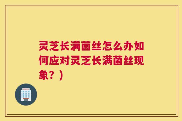 灵芝长满菌丝怎么办如何应对灵芝长满菌丝现象？)