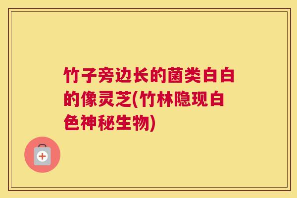 竹子旁边长的菌类白白的像灵芝(竹林隐现白色神秘生物)