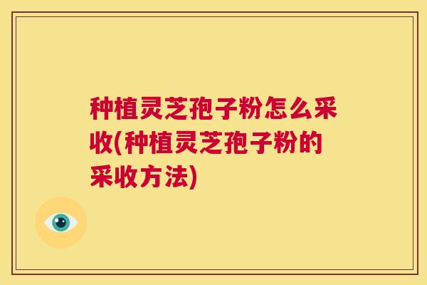 种植灵芝孢子粉怎么采收(种植灵芝孢子粉的采收方法) 种植灵芝孢子粉怎么采收(种植灵芝孢子粉的采收方法)