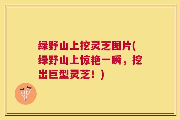 绿野山上挖灵芝图片(绿野山上惊艳一瞬,挖出巨型灵芝!) 绿野山上挖灵芝图片(绿野山上惊艳一瞬,挖出巨型灵芝!)