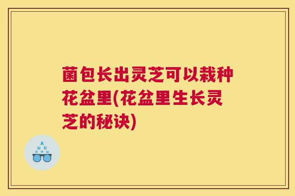 菌包长出灵芝可以栽种花盆里(花盆里生长灵芝的秘诀)