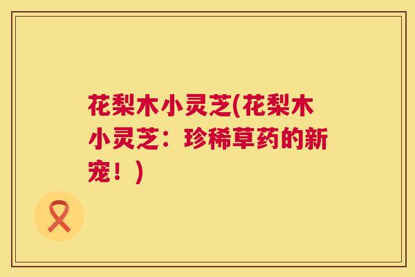 花梨木小灵芝(花梨木小灵芝：珍稀草药的新宠！)