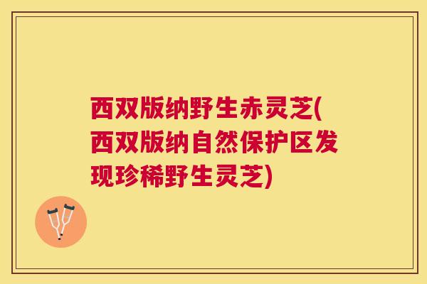 西双版纳野生赤灵芝(西双版纳自然保护区发现珍稀野生灵芝)
