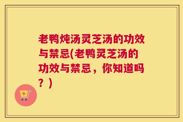 老鸭炖汤灵芝汤的功效与禁忌(老鸭灵芝汤的功效与禁忌，你知道吗？)
