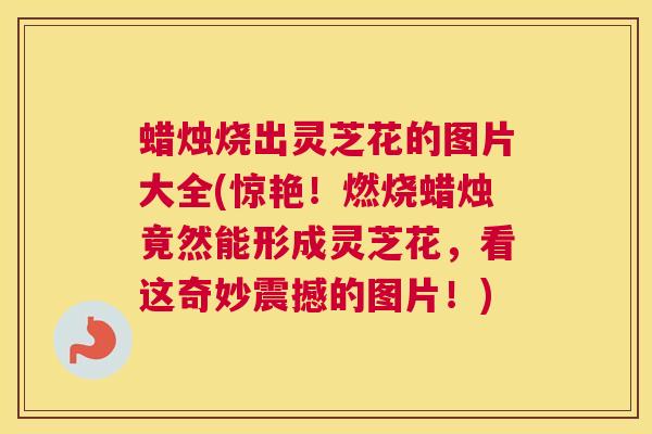 蜡烛烧出灵芝花的图片大全(惊艳！燃烧蜡烛竟然能形成灵芝花，看这奇妙震撼的图片！)