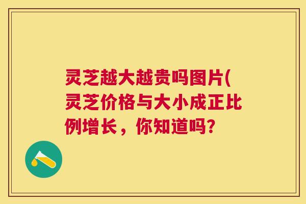 灵芝越大越贵吗图片(灵芝价格与大小成正比例增长，你知道吗？