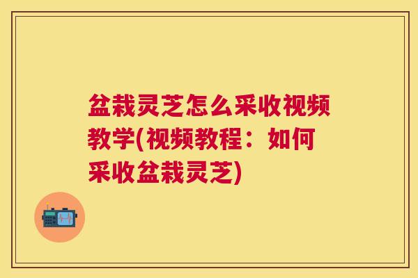 盆栽灵芝怎么采收视频教学(视频教程：如何采收盆栽灵芝)