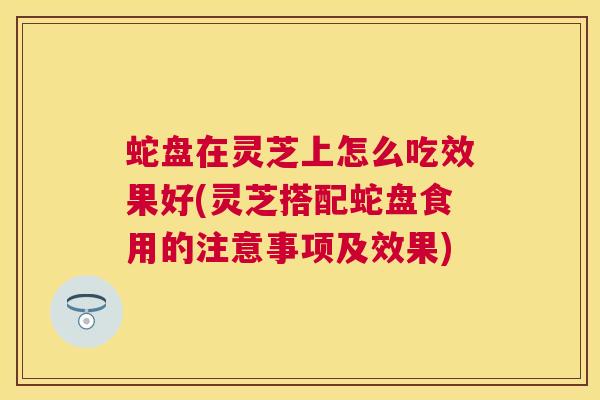 蛇盘在灵芝上怎么吃效果好(灵芝搭配蛇盘食用的注意事项及效果)