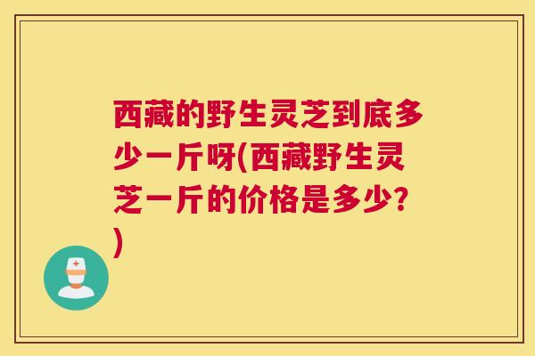 西藏的野生灵芝到底多少一斤呀(西藏野生灵芝一斤的价格是多少？)