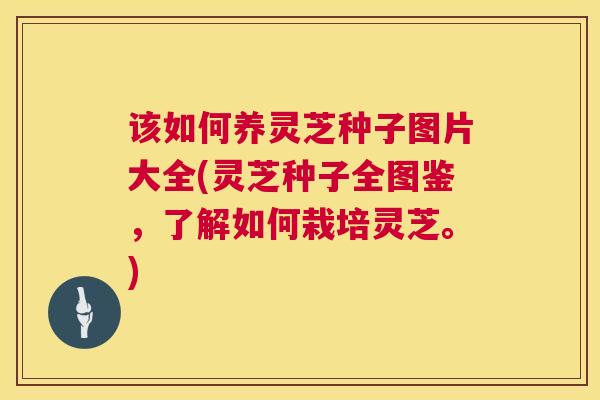 该如何养灵芝种子图片大全(灵芝种子全图鉴，了解如何栽培灵芝。)