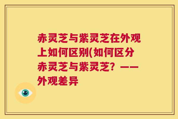 赤灵芝与紫灵芝在外观上如何区别(如何区分赤灵芝与紫灵芝？——外观差异