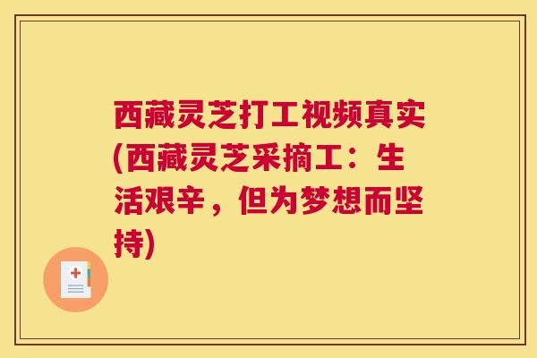 西藏灵芝打工视频真实(西藏灵芝采摘工：生活艰辛，但为梦想而坚持)