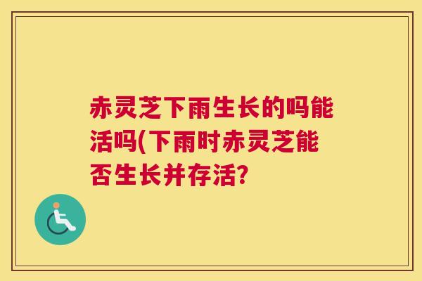 赤灵芝下雨生长的吗能活吗(下雨时赤灵芝能否生长并存活？