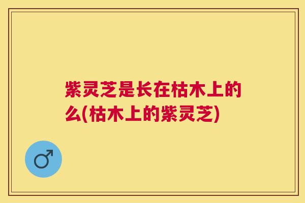 紫灵芝是长在枯木上的么(枯木上的紫灵芝)