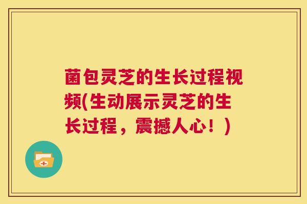 菌包灵芝的生长过程视频(生动展示灵芝的生长过程，震撼人心！)