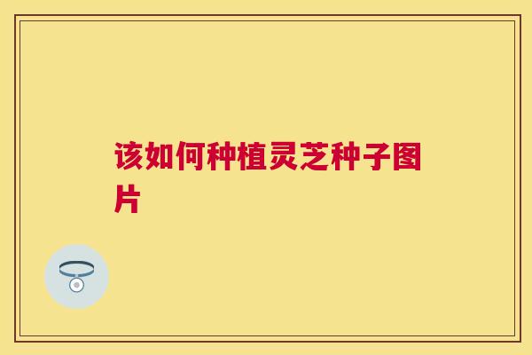 该如何种植灵芝种子图片