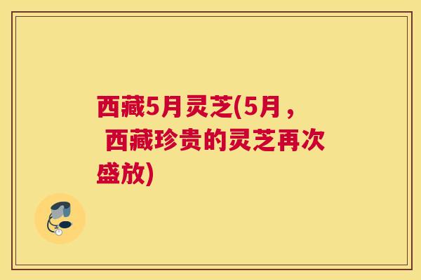 西藏5月灵芝(5月， 西藏珍贵的灵芝再次盛放)