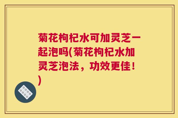 菊花枸杞水可加灵芝一起泡吗(菊花枸杞水加灵芝泡法，功效更佳！)