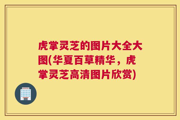 虎掌灵芝的图片大全大图(华夏百草精华，虎掌灵芝高清图片欣赏)