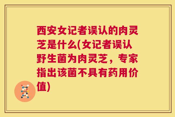 西安女记者误认的肉灵芝是什么(女记者误认野生菌为肉灵芝,专家指出该菌不具有药用价值) 西安女记者误认的肉灵芝是什么(女记者误认野生菌为肉灵芝,专家指出该菌不具有药用价值)
