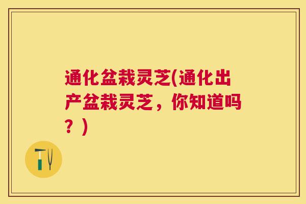 通化盆栽灵芝(通化出产盆栽灵芝，你知道吗？)
