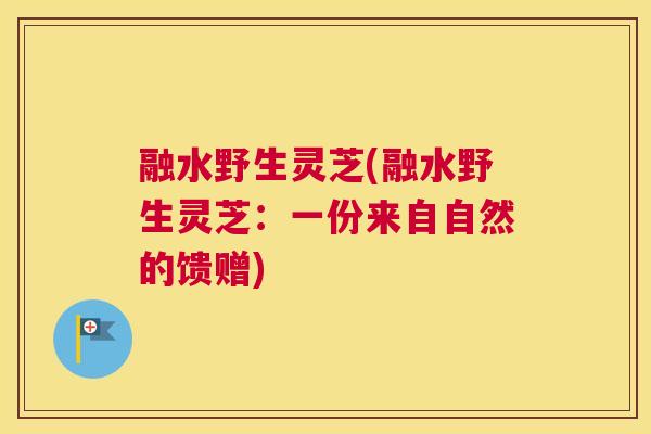 融水野生灵芝(融水野生灵芝：一份来自自然的馈赠)