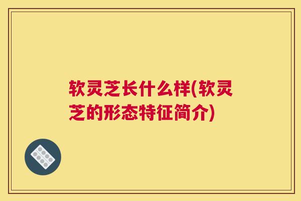 软灵芝长什么样(软灵芝的形态特征简介)