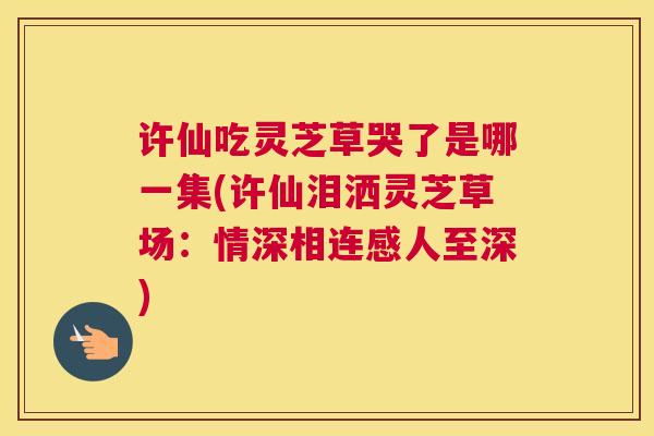 许仙吃灵芝草哭了是哪一集(许仙泪洒灵芝草场：情深相连感人至深)