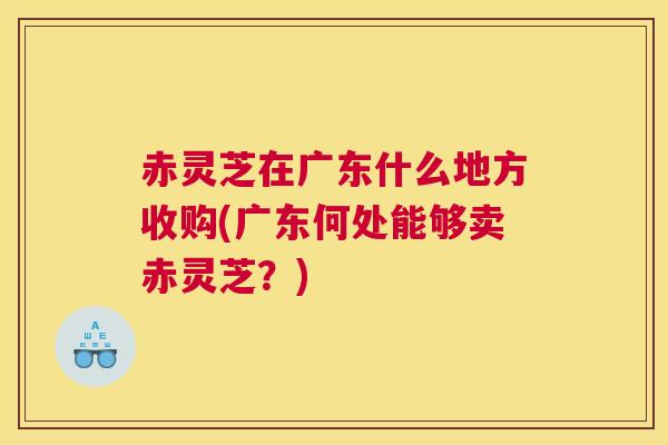 赤灵芝在广东什么地方收购(广东何处能够卖赤灵芝？)