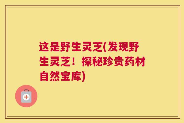 这是野生灵芝(发现野生灵芝！探秘珍贵药材自然宝库)