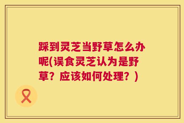踩到灵芝当野草怎么办呢(误食灵芝认为是野草？应该如何处理？)
