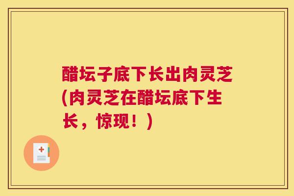 醋坛子底下长出肉灵芝(肉灵芝在醋坛底下生长,惊现!) 醋坛子底下长出肉灵芝(肉灵芝在醋坛底下生长,惊现!)