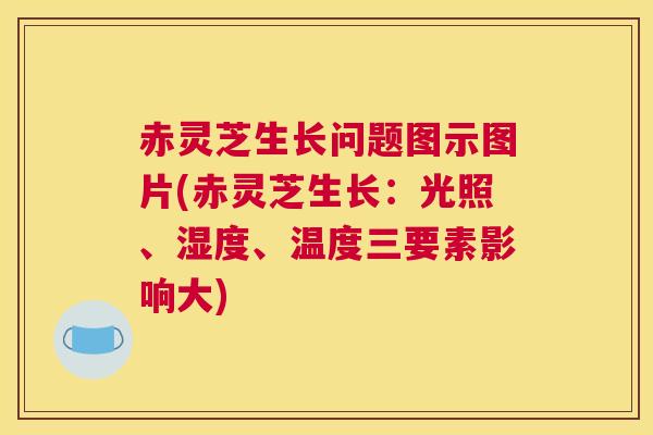 赤灵芝生长问题图示图片(赤灵芝生长:光照、湿度、温度三要素影响大) 赤灵芝生长问题图示图片(赤灵芝生长:光照、湿度、温度三要素影响大)