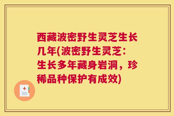西藏波密野生灵芝生长几年(波密野生灵芝:生长多年藏身岩洞,珍稀品种保护有成效) 西藏波密野生灵芝生长几年(波密野生灵芝:生长多年藏身岩洞,珍稀品种保护有成效)