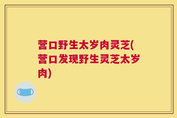 营口野生太岁肉灵芝(营口发现野生灵芝太岁肉)
