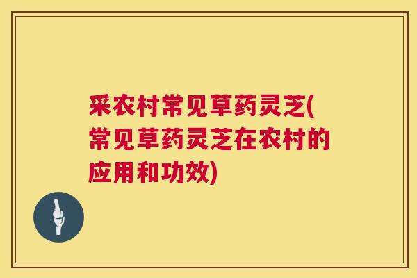采农村常见草药灵芝(常见草药灵芝在农村的应用和功效) 采农村常见草药灵芝(常见草药灵芝在农村的应用和功效)