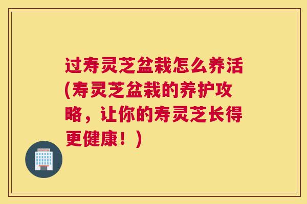 过寿灵芝盆栽怎么养活(寿灵芝盆栽的养护攻略，让你的寿灵芝长得更健康！)