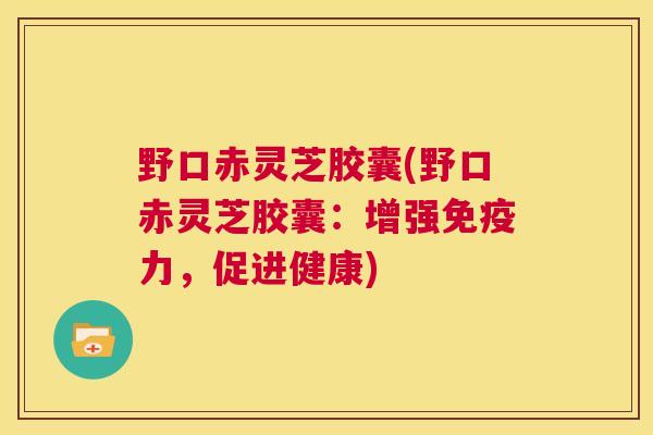 野口赤灵芝胶囊(野口赤灵芝胶囊：增强免疫力，促进健康)