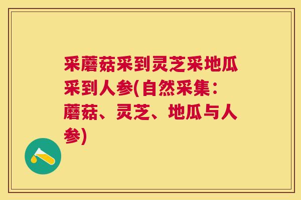 采蘑菇采到灵芝采地瓜采到人参(自然采集:蘑菇、灵芝、地瓜与人参) 采蘑菇采到灵芝采地瓜采到人参(自然采集:蘑菇、灵芝、地瓜与人参)