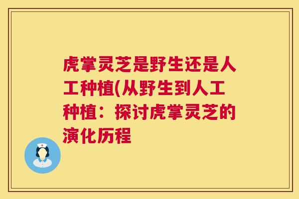 虎掌灵芝是野生还是人工种植(从野生到人工种植：探讨虎掌灵芝的演化历程