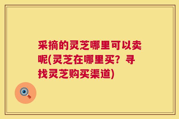 采摘的灵芝哪里可以卖呢(灵芝在哪里买?寻找灵芝购买渠道) 采摘的灵芝哪里可以卖呢(灵芝在哪里买?寻找灵芝购买渠道)