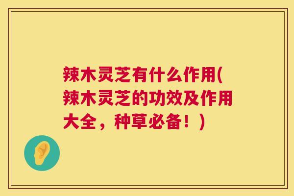 辣木灵芝有什么作用(辣木灵芝的功效及作用大全，种草必备！)