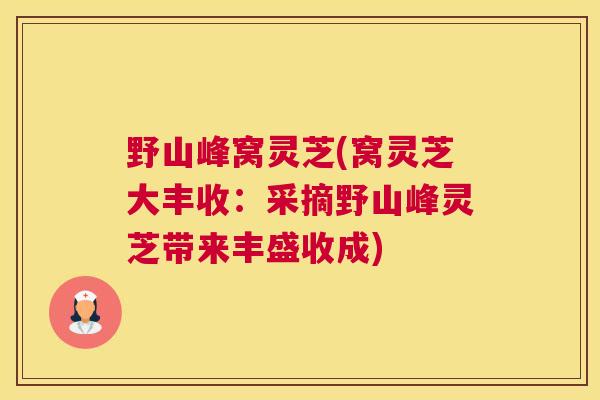 野山峰窝灵芝(窝灵芝大丰收:采摘野山峰灵芝带来丰盛收成) 野山峰窝灵芝(窝灵芝大丰收:采摘野山峰灵芝带来丰盛收成)