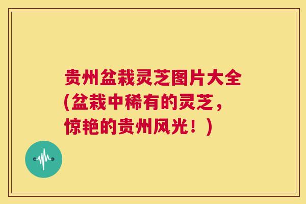 贵州盆栽灵芝图片大全(盆栽中稀有的灵芝，惊艳的贵州风光！)