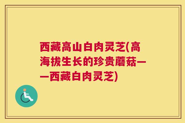 西藏高山白肉灵芝(高海拔生长的珍贵蘑菇——西藏白肉灵芝)