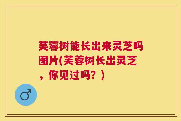芙蓉树能长出来灵芝吗图片(芙蓉树长出灵芝，你见过吗？)