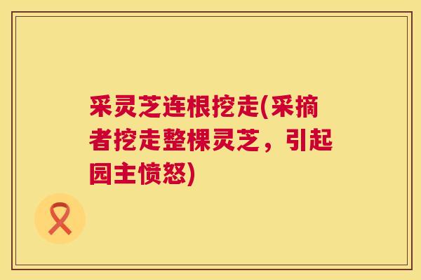 采灵芝连根挖走(采摘者挖走整棵灵芝，引起园主愤怒)