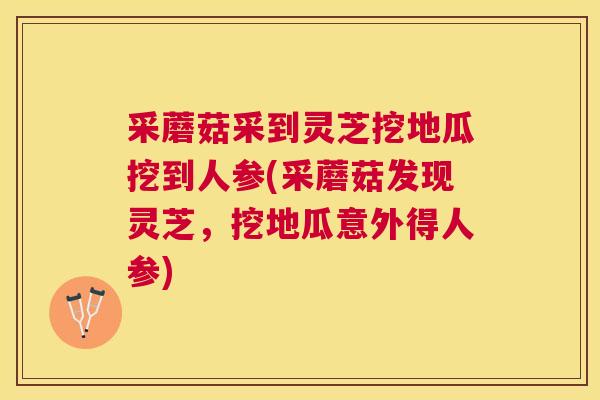 采蘑菇采到灵芝挖地瓜挖到人参(采蘑菇发现灵芝,挖地瓜意外得人参) 采蘑菇采到灵芝挖地瓜挖到人参(采蘑菇发现灵芝,挖地瓜意外得人参)